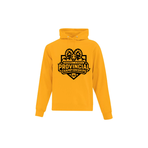 Provincials Everyday Hoodie 1 color logo