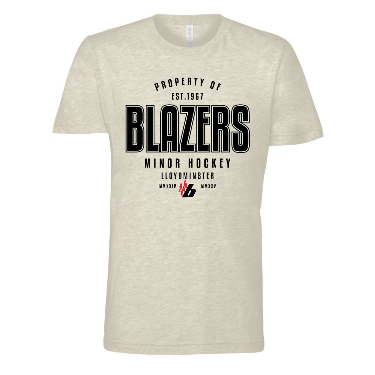 Blazers Vintage Tee