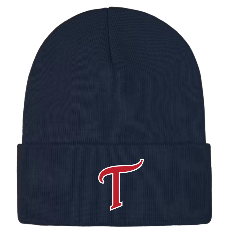 Twins Minor Baseball Cuffed Beanie
