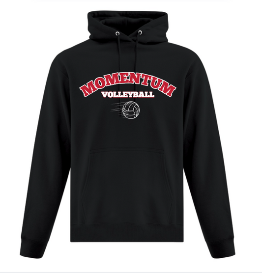 Momentum Volleyball  hoodie