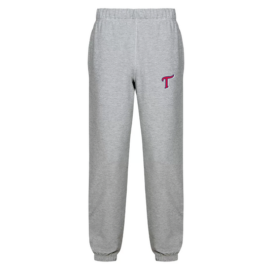 Twins Minor Baseball Everyday Sweat Pants